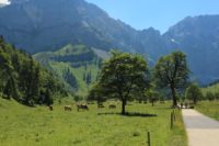 2015-07-01_1Pano-bei-Lacke (102).JPG